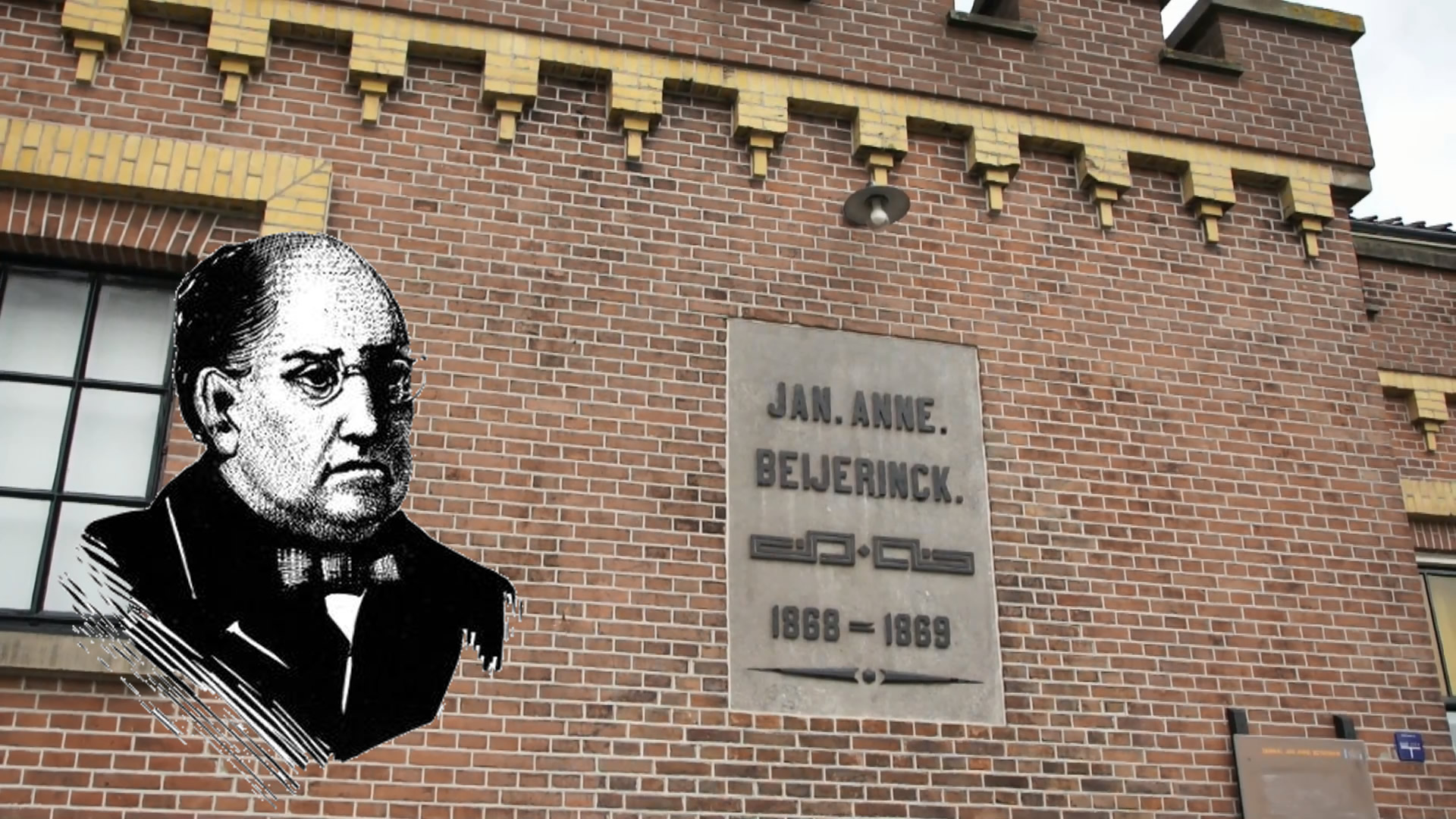 Wie was Jan Anne Beijerinck